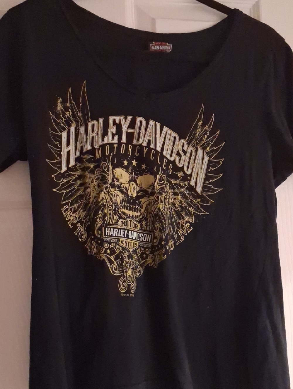 Harley-Davidson Black Tee with Gold Skull & Wing Graphic